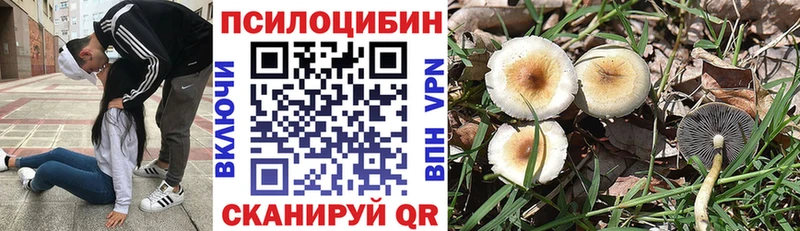 Псилоцибиновые грибы MAGIC MUSHROOMS  Купить где  Ленинск 